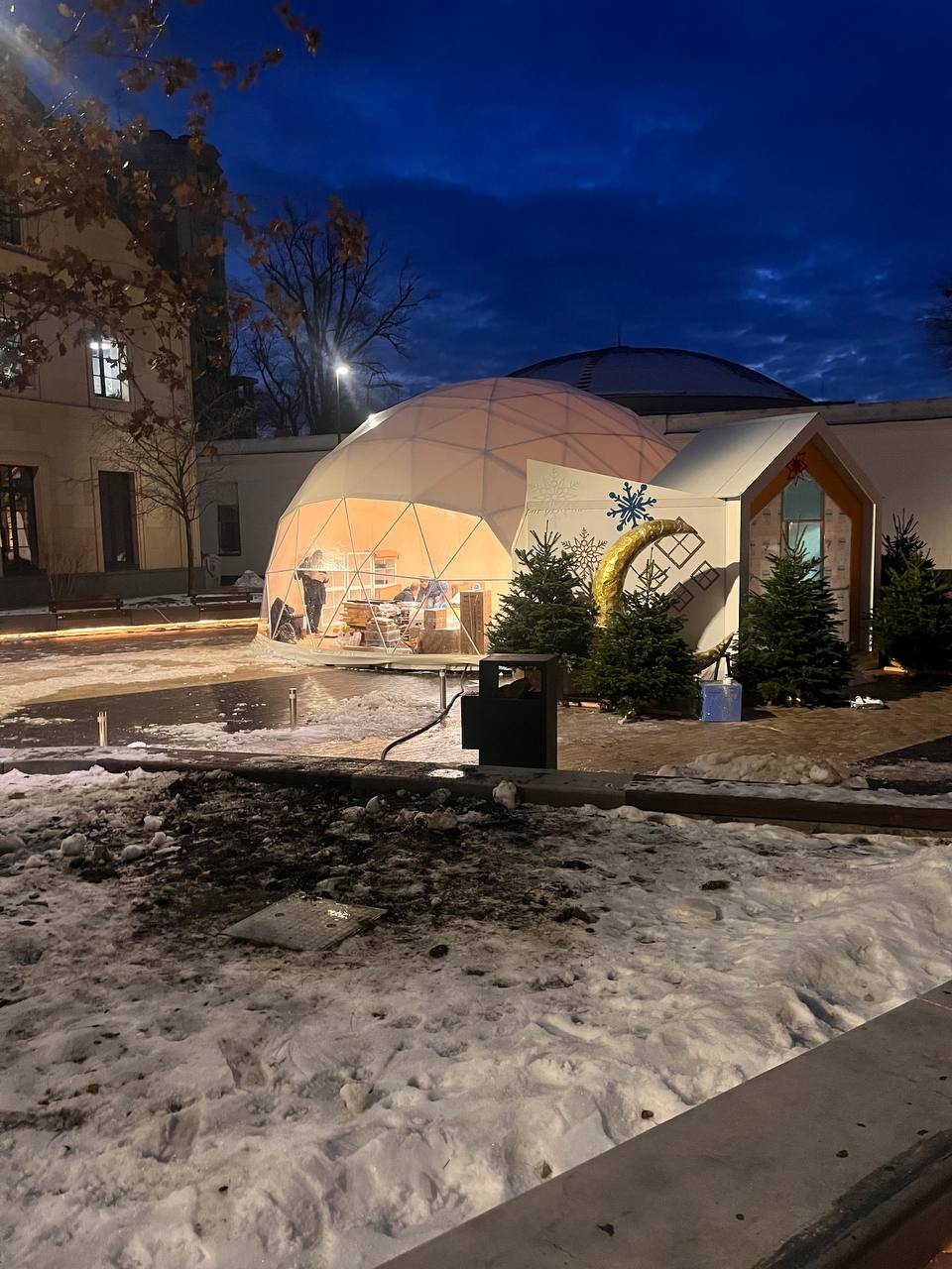 32 ft Geodesic Dome Kit